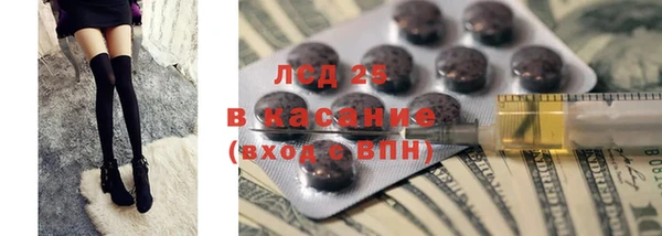 стаф Волосово