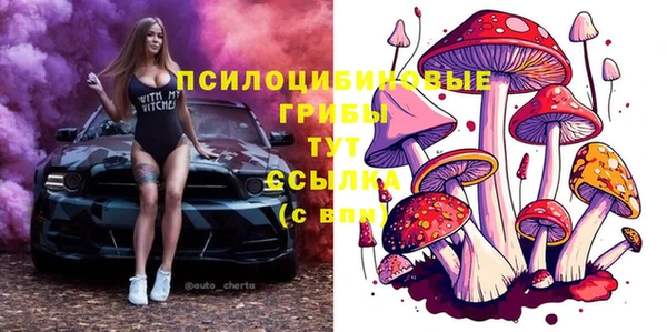 гидропоника Вяземский