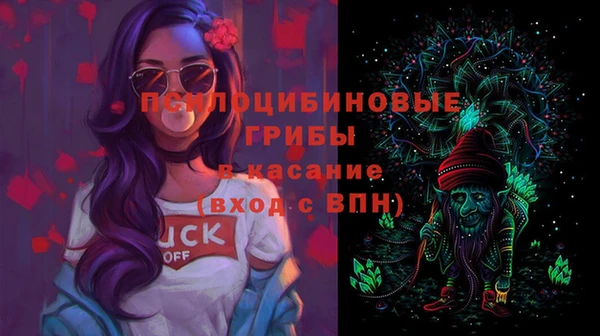 гидропоника Вяземский