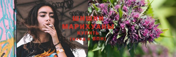 гидропоника Вяземский